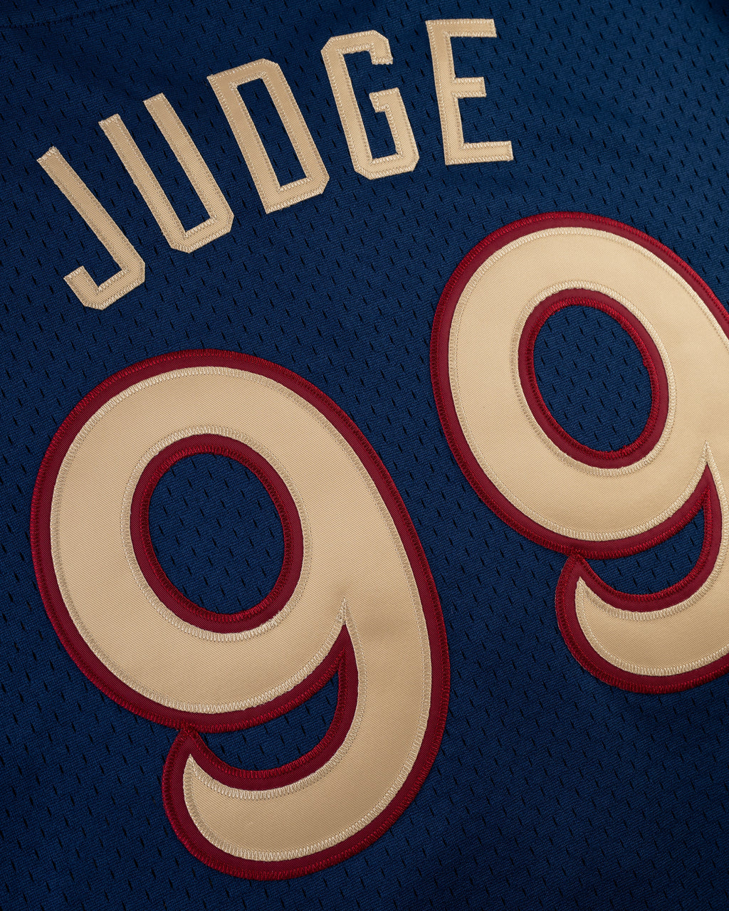 Aaron Judge Scranton/Wilkes-Barre Railriders Mesh Button-Up Jersey