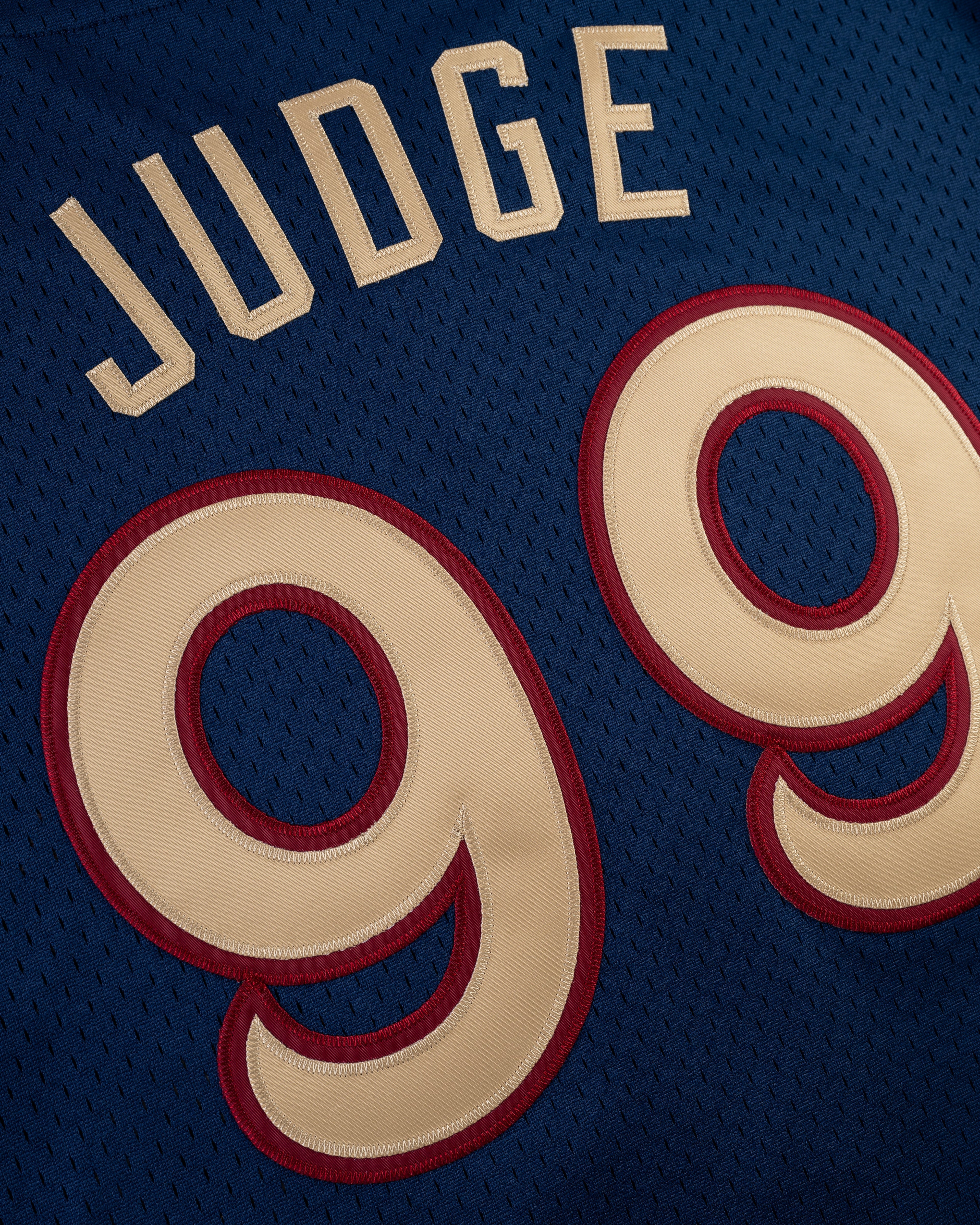 Aaron Judge Scranton/Wilkes-Barre Railriders Mesh Button-Up Jersey